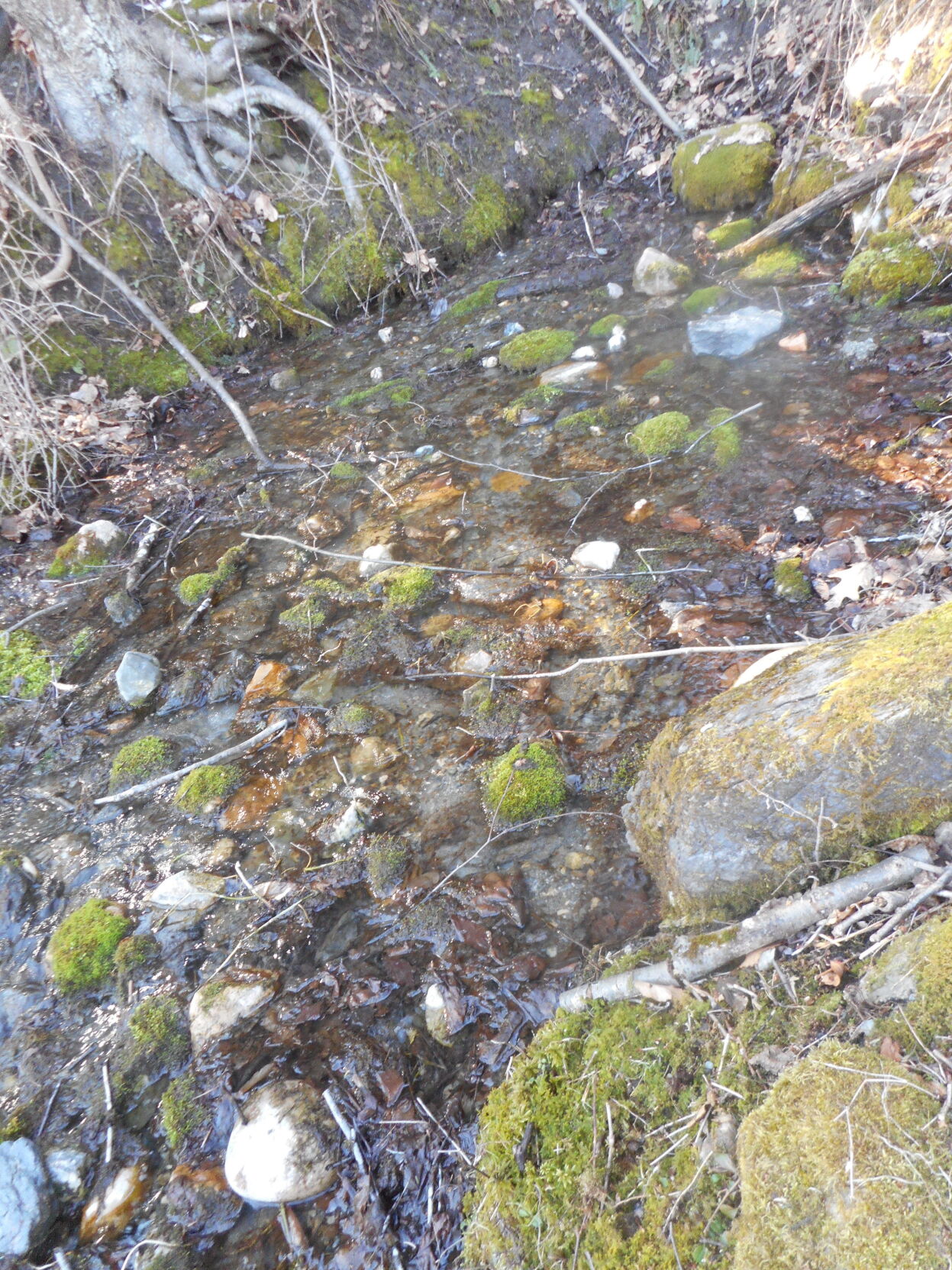 thermal spring trickes